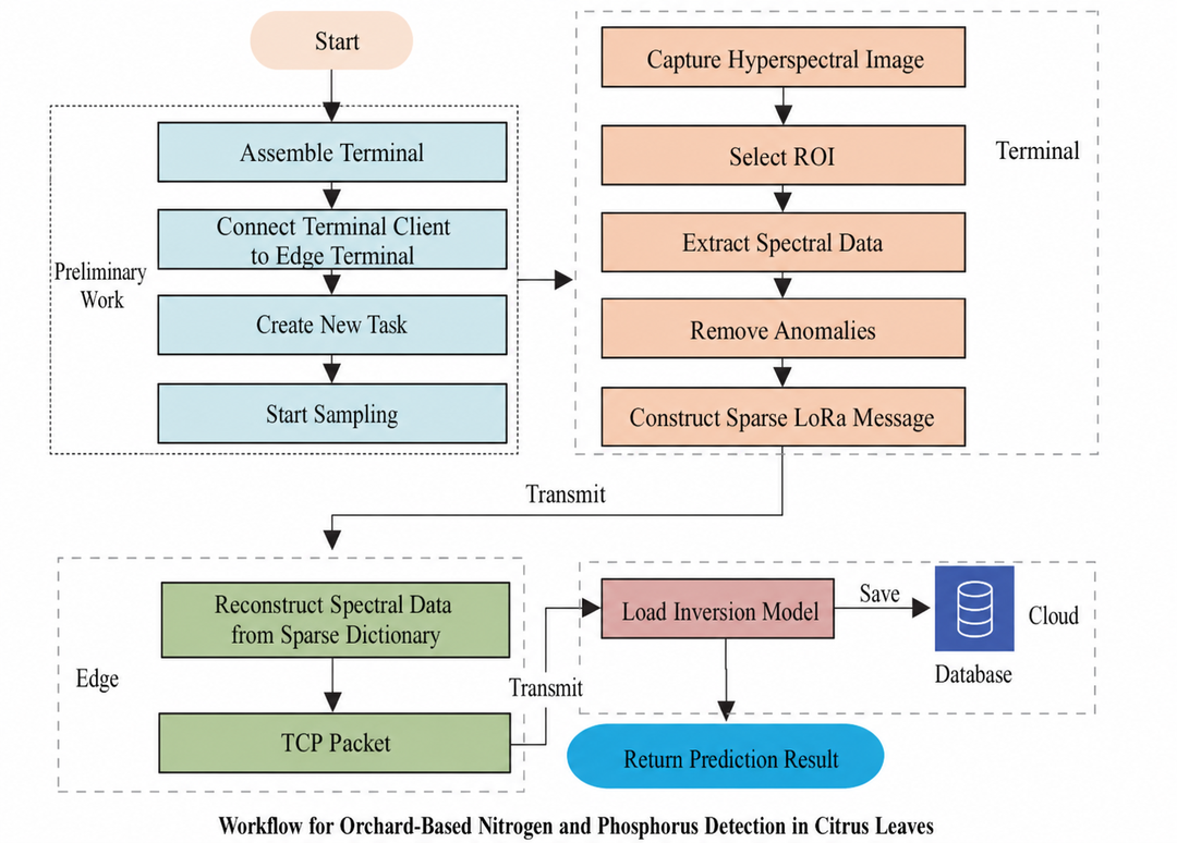 Workflow for orchard-based nitrogen and phosphorus detection in citrus leaves