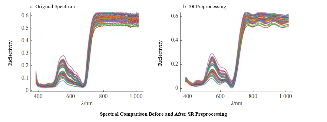 Original citrus leaf spectra compared with spectra after SR preprocessing
