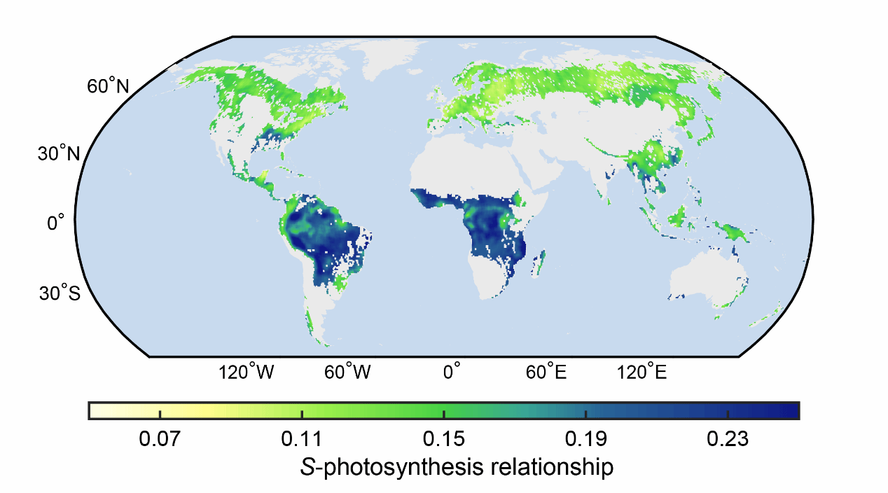 Global map of the relationship between solar-induced fluorescence and photosynthesis