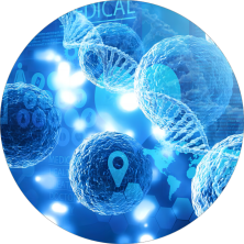 Biomedical elemental analysis application for LIBS