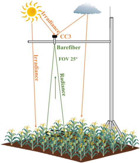 Canopy SIF monitoring geometry with irradiance and radiance sampling