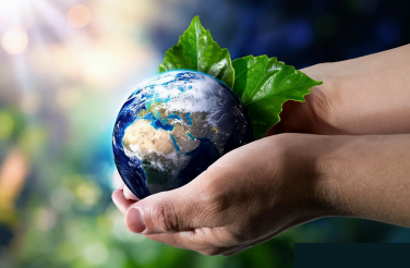 Environmental monitoring application for solar-induced chlorophyll fluorescence